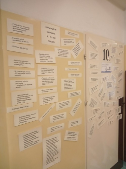 IMG 20230216 140210 585