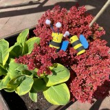 PHOTO-2023-05-13-15-23-19_2